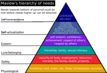 Maslow theory of motivation.png